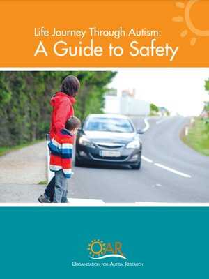 cover image of A Guide to Safety